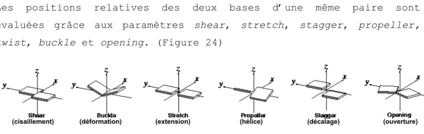 Figure 24 : Définition des paramètres inter-bases d’une même paire de bases 