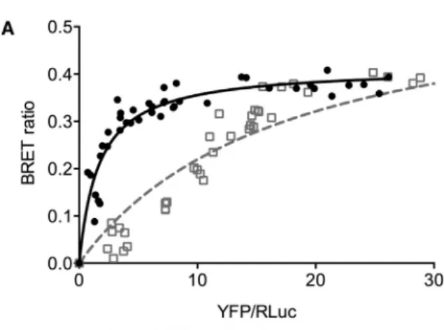 Figure 3. Membrane-Bound BCL-xL Resists Derepression (A) BRET saturation curve assays using RLuc-PUMA/YFP-BCL-xL D C or  YFP-BCL-xLG138E, R139L, I140N were performed in MCF-7 cells