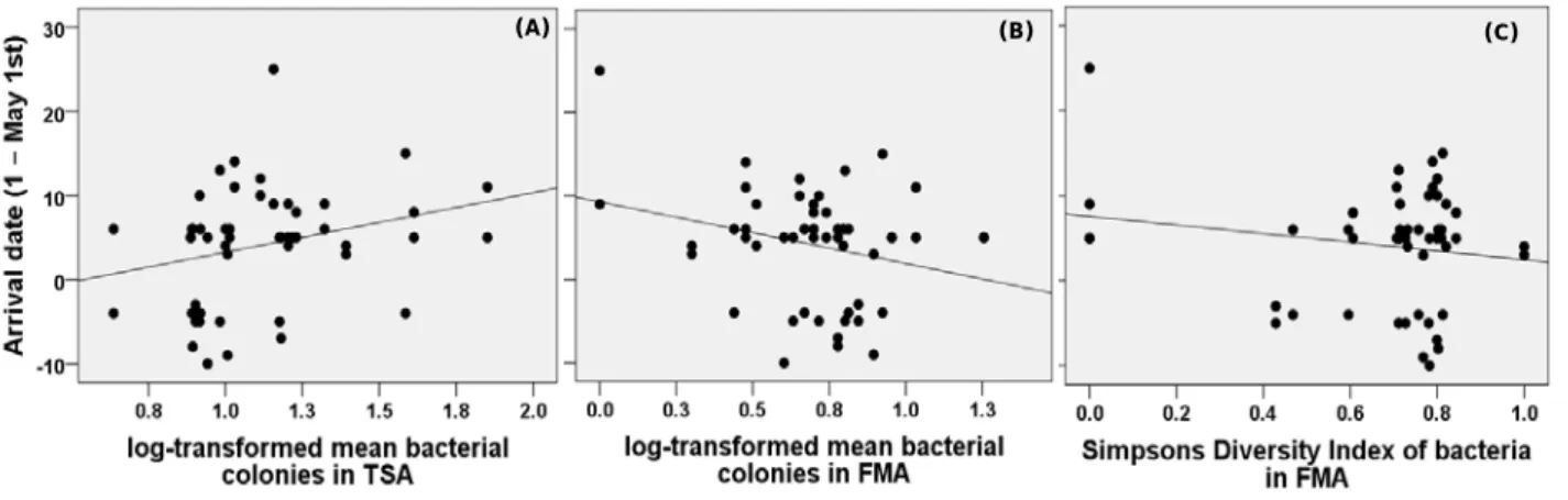Fig. 8 : Arrival date of barn swallows in relation to (A) log-transformed mean  number of bacterial colonies in TSA medium, (B) log-transformed mean number of 