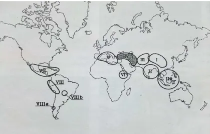 Figure  4.  Centres  d’origines  et  de  diversité  des  plantes  cultivées  selon  le  chercheur Vavilov (Sanchez-Monge, 1974)