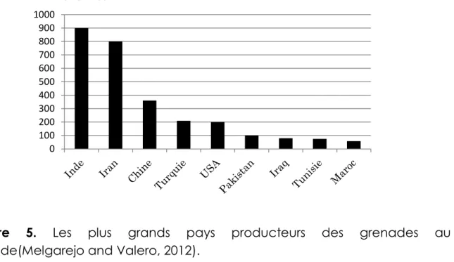 Figure  5.  Les  plus  grands  pays  producteurs  des  grenades  au  monde(Melgarejo and Valero, 2012)