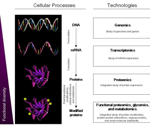 Figure 4. Overview of cellular processes and modern technologies available for their study.