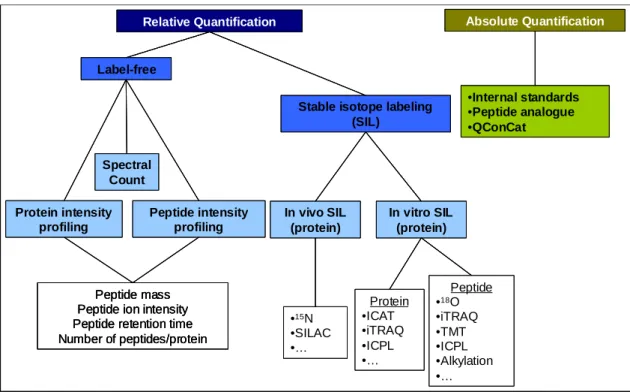 Figure 7. Different mass spectrometry based methods for relative and absolute quantification of  proteins by differential proteomic analysis