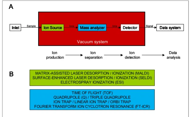 Figure 8. A: Different components of a mass spectrometer. B: Types of ion sources and mass analyzers  used in proteomics.