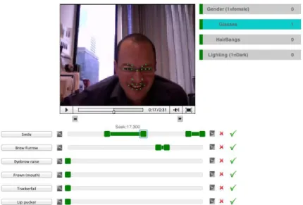 Figure 6-4: Screenshot of the video labeling tool ViDL used to label the video data. The onset and offset of each action unit was labeled by at least three labelers with the majority label being taken as ground truth.