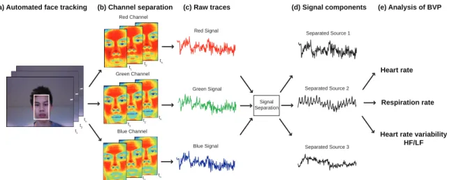 Figure 6-10: Algorithm for photoplethysmographic measurement from a webcam video and the extraction of heart rate, respiration rate and HRV from the resulting BVP signal.
