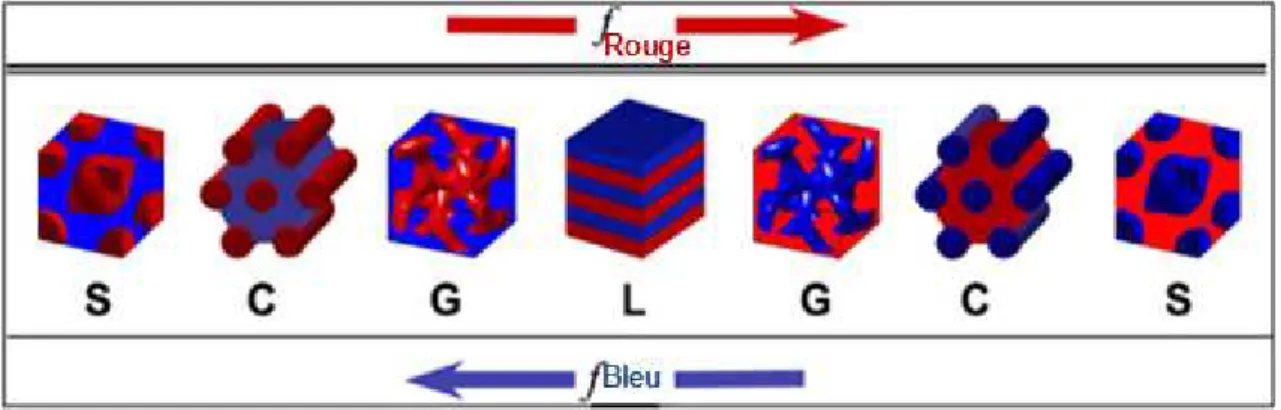 Figure  I-4.  Morphologies  d’équilibre  observées  après  auto-organisation  des  domaines  dans  un  dibloc