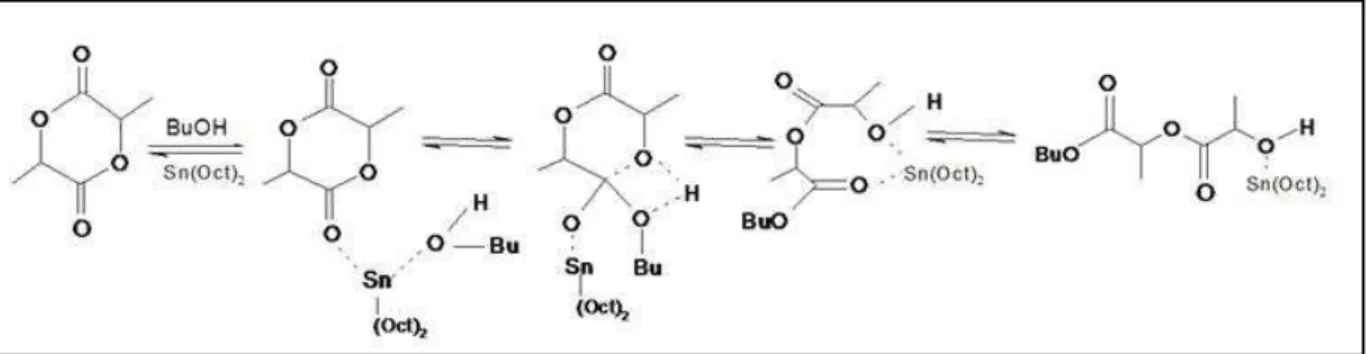 Figure II-7. Mécanisme de coordination-insertion pour la polymérisation du lactide amorcée par  BuOH/SnOct 2 