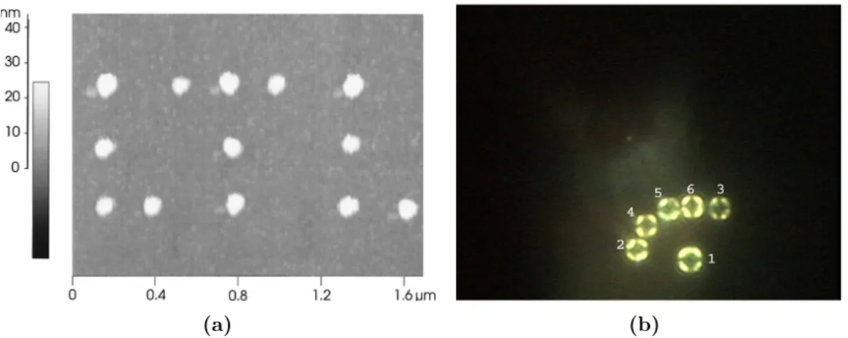 FIG. 3. Low temperature laboratory ~LTL! written in block letters with 45 nm silver particles on top of silicon dioxide substrate.