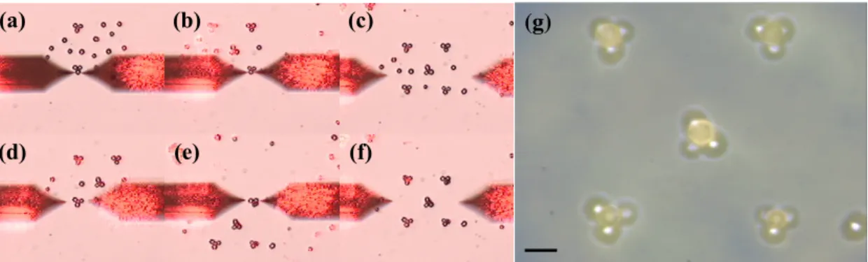 Fig. 7 shows the 3-D micromanipulation process of the micropyramids. Fig. 7 (a) and (b) are captured when the first