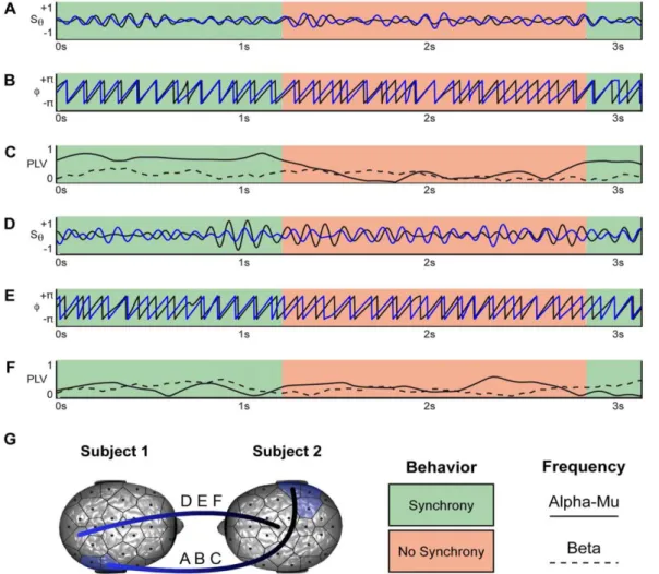 Figure 1.7 Echantillons d'épisodes d'imitations spontanées dans la dyade n ° 3 montrant la correspondance entre les  synchronies issues de l’interaction et l’activité cérébrale