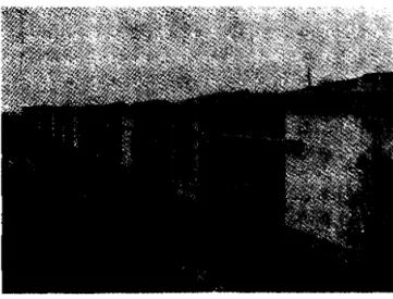 Fig.  1:  Barn for testing walls.  Fig.  3:  The  finished 14 test huts. 