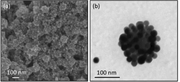 Fig.  4  (a)  HR-SEM  and  (b)  TEM  images  of  clusters  obtained  from  26  nm  PVP-coated  silver  and  106  nm  polyelectrolyte-modified silica particles for a silver-to-silica number ratio of 170
