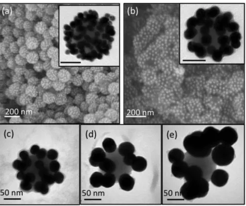 Fig. 6  TEM and SEM images of the silica-coated clusters obtained from 106 nm polyelectrolyte-modified silica  particles and (a) AuNP10, (b) AuNP20, (c) AuNP30, (d) AuNP40 and (e) AuNP50 nanoparticles according to the  experimental conditions described in 