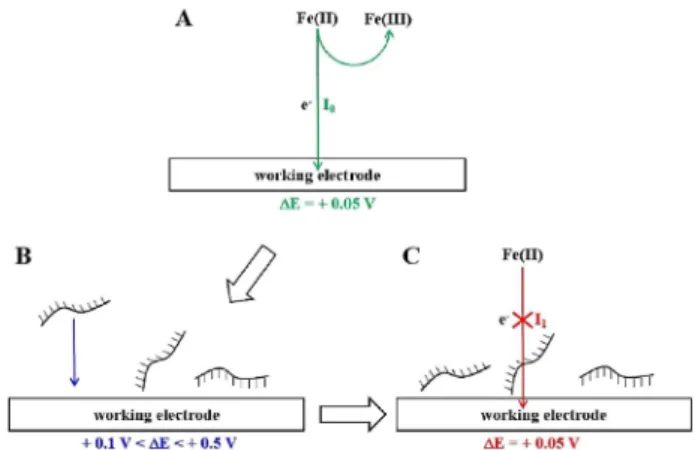 Fig. 2. Ratio I ss /I Au of current measured at + 0.05 V with Pt UME before (I Au ) and after (I ss ) the electrochemical adsorption of  ss-DNA probe vs ΔE for a 5 min