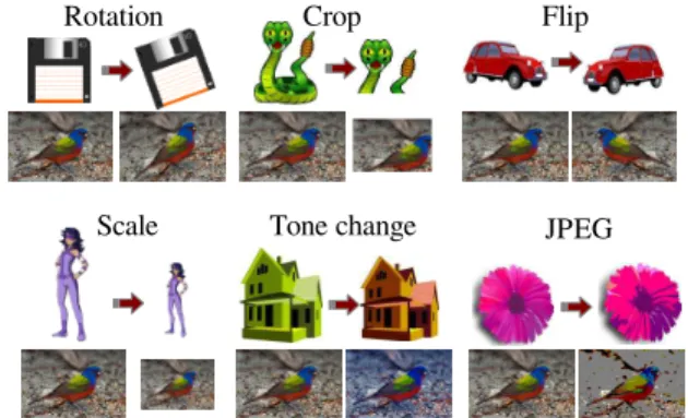 Figure 1: Illustrations of image transformations, on simple icons and on an image from the CUB dataset.