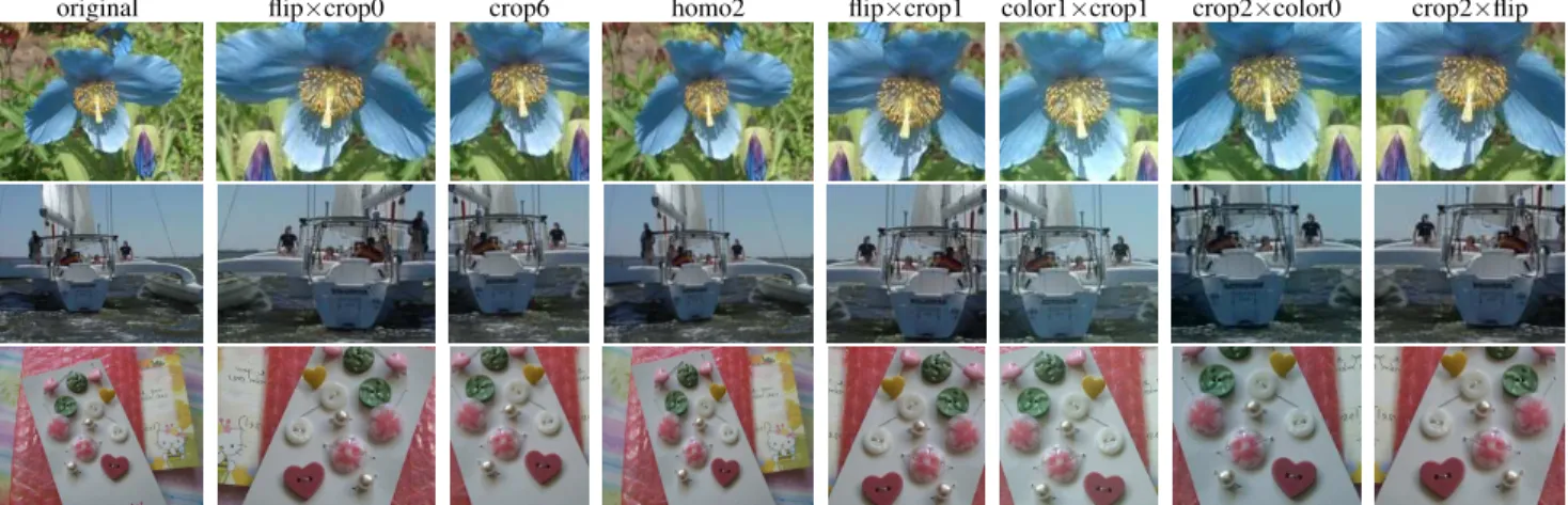 Figure 9: Examples of transformed images on ILSVRC10 (transformations selected by 2-ITP-S, see Table 4).