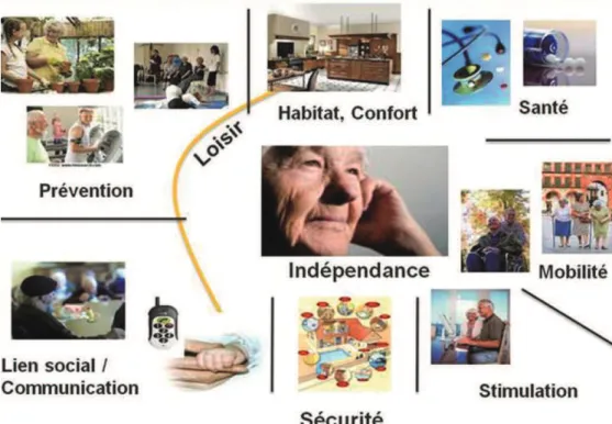 Figure 2 : Cartographie des principaux besoins couverts   par les gérontechnologies chez la personne âgée