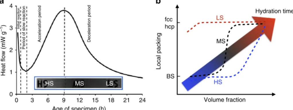 Figure 6 | Hydration kinetics and nanoscale interactions. (a) The hydration rate as measured via calorimetry during cement hydration reprinted from ref.