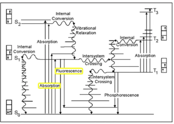 Figure 1 Jablonski diagram of the excitation and de-excitation pathways of a fluorophore  (Smith, 2009) 