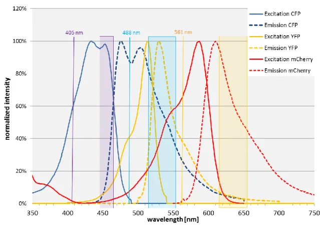 Figure 13 Laser excitation and emission detection of the Partec Flow Cytometer 