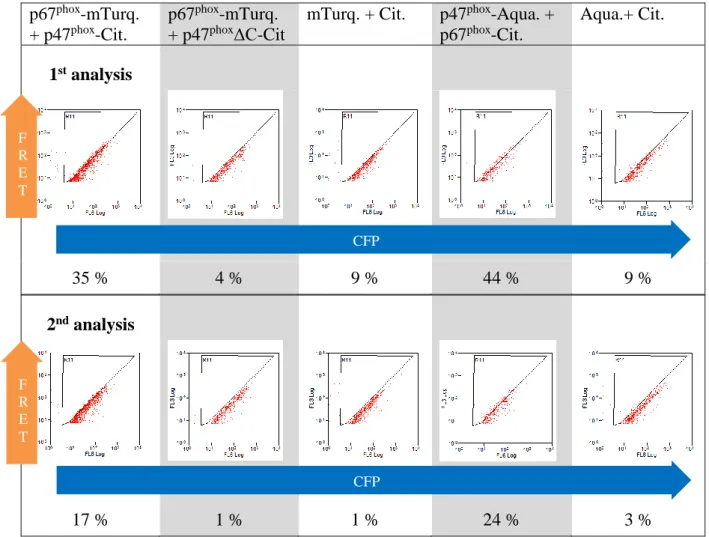 Table 15 Influence of the gating on the FRET by Flow Cytometry result 