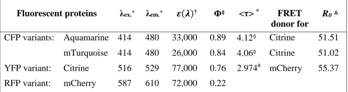 Table 1 Fluorescent proteins used in this project and their main properties  