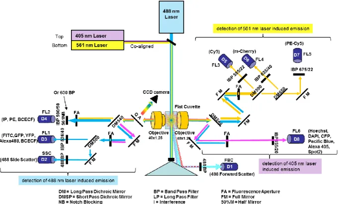 Figure 12 Partec Flow Cytometer – Scheme of the laser light sources, optical paths, and detectors  