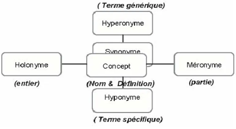 Figure 1.3 – Types de relations dans Wordnet