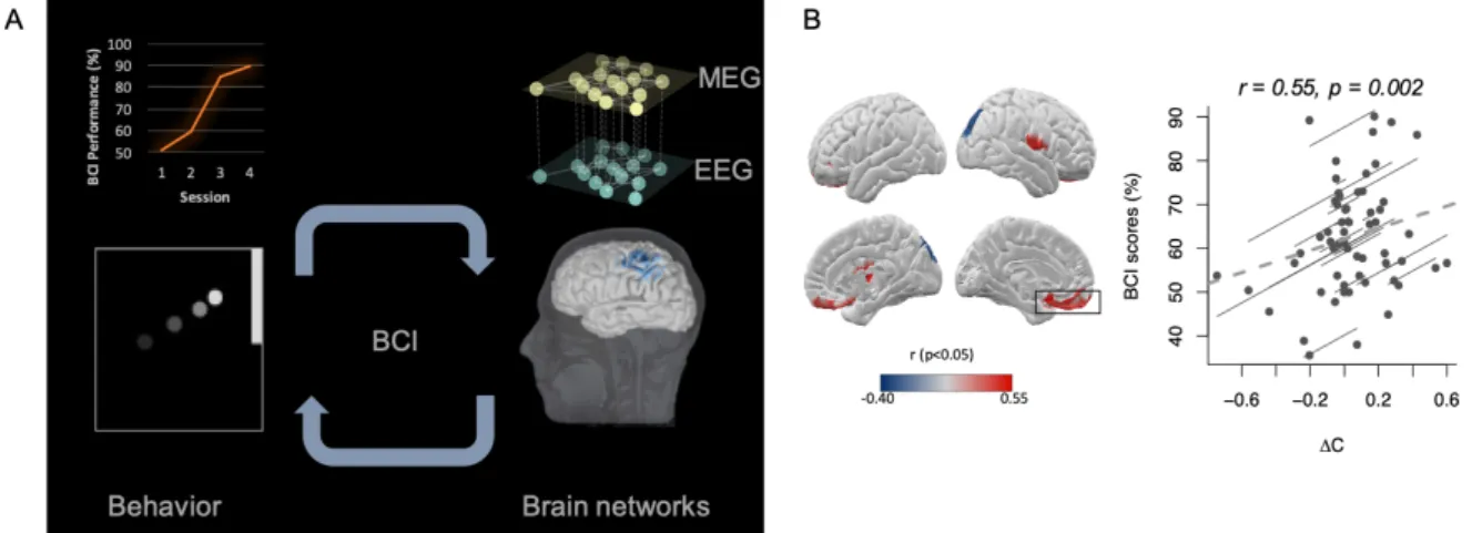 Fig. 1 Core-periphery properties as markers of BCI performance. (A) Illustrative representation of the experimental  protocol  and  analysis