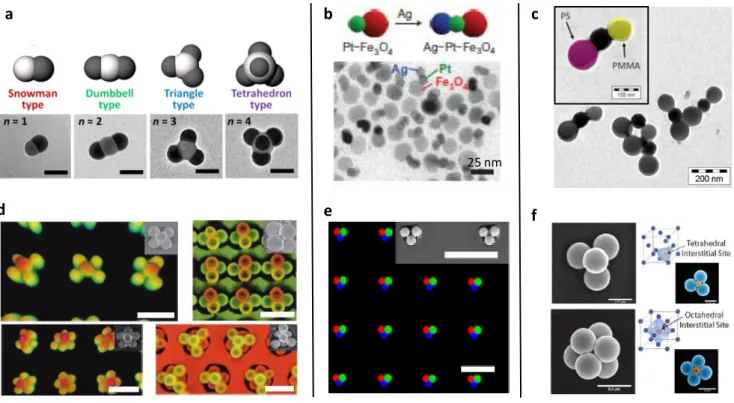 Figure  2.  a)  PS-b-P4VP  CMs  fabricated  through  oil-in-water  emulsion  (scale  bars:  100  nm)