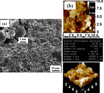 Figure 2. SEM (a) and AFM (b) images of Ag thick film de- de-posited on paper substrate by flexography
