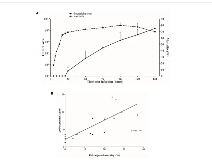 FIGURE 4 | Relationship between mortality and sRNA expression levels. (A) Correlation between growth of Staphylococcus aureus (CFU/larva) and the mortality of infected Galleria mellonella larvae