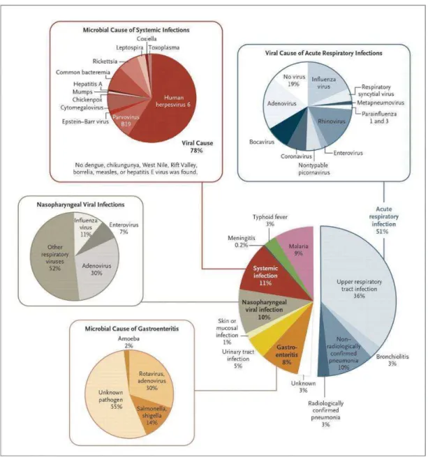 Figure  3 :  Répartition  des  diagnostics  étiologiques  chez  des  enfants  fébriles  en  Tanzanie [28] 