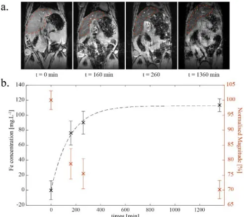 Figure 2. NE-P3 (#5) half-life in the bloodstream was determined by dynamic MRI. (a): MR images  at different time points showing the regions of interest (ROI, inside the red dashed lines) that  en-compass the liver and were used to measure the mean magnit