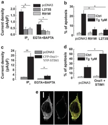 Figure 3 The role of Orai1 in apoptosis induced by alkylating agents cisplatin and oxaliplatin