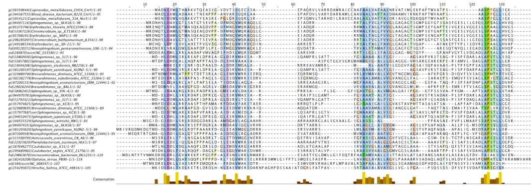 Figure 19 : Alignement de séquences des 38 protéines apparentées à CnrY (dont CnrY) dont les gènes sont voisins des homologues de CnrX