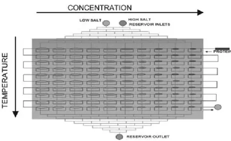 Fig. 1 Schematic of the concentration and temperature gradients on the PhaseChip. When two different salt solutions are introduced into the reservoir (low salt and high salt), a discrete linear gradient of salt concentration forms across the reservoir chan