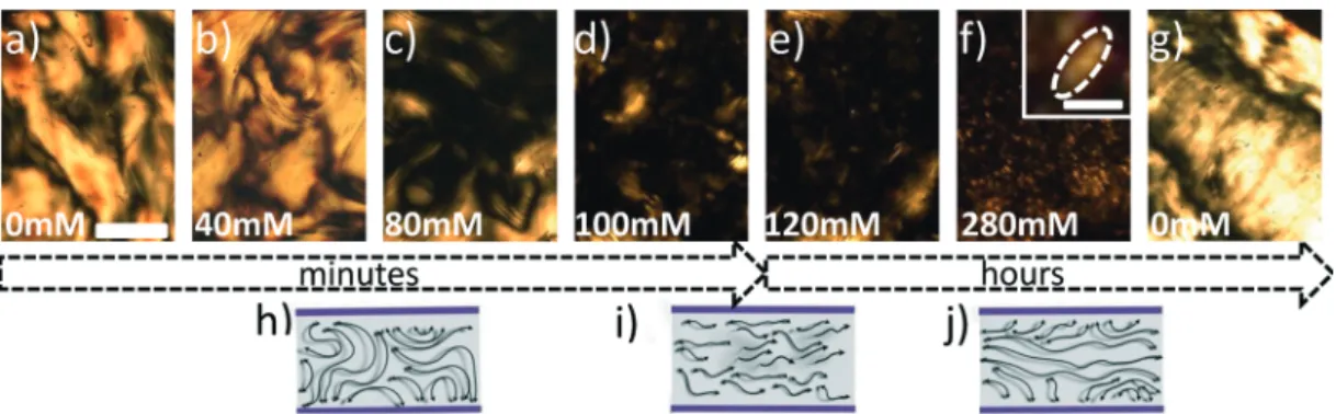 Fig. 2 Cross-polarized images (a–j) show the evolution of the fd virus system under changing NaCl concentrations