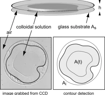 FIG. 1. Schematic view of the confined drying geometry where a droplet of a colloidal solution !% ! L &#34; is squeezed in between two circular glass plates !diameter %8 cm&#34; and let to dry up
