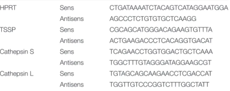 TABLE 1 | Sequences of the primers used for RT-qPCR.
