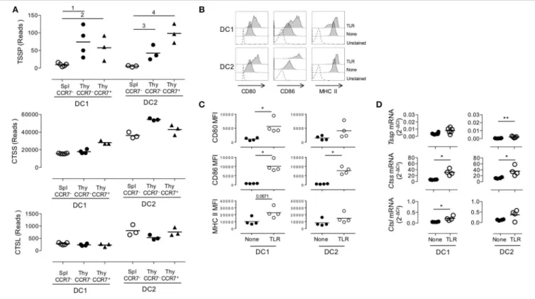 FIGURE 3 | Similar expression levels of Tssp, Ctss, and Ctsl mRNA in immature and mature conventional dendritic cell (cDCs)