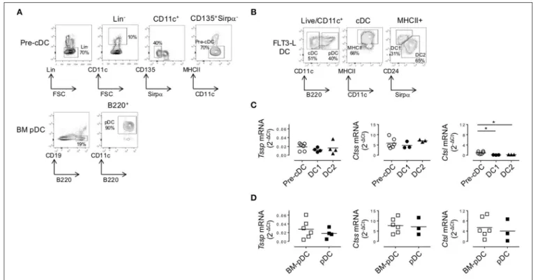 FIGURE 4 | In the bone marrow (BM), precursor of conventional dendritic cells (pre-cDCs) and plasmacytoid DCs (pDCs) express Tssp, Ctss, and Ctsl mRNA