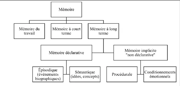 Figure 1: Classification des différents systèmes de mémoire : systèmes de stockage à long terme (inspiré  des travaux de Tulving).