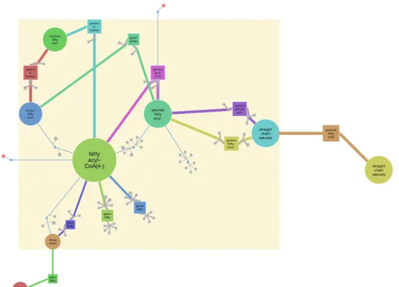 Fig. 1.4 The generalized representation of the peroxisome compartment of the yeast Y.