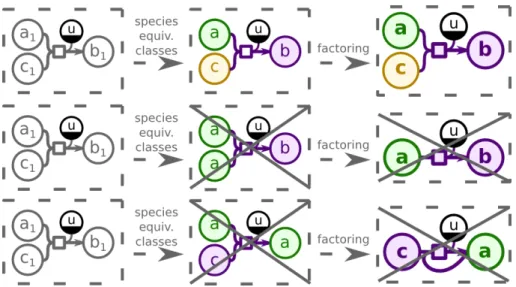 Fig. 3.2 Stoichiometry preserving restriction. The top part shows the correct generaliza- generaliza-tion that obeys restriction 3.2