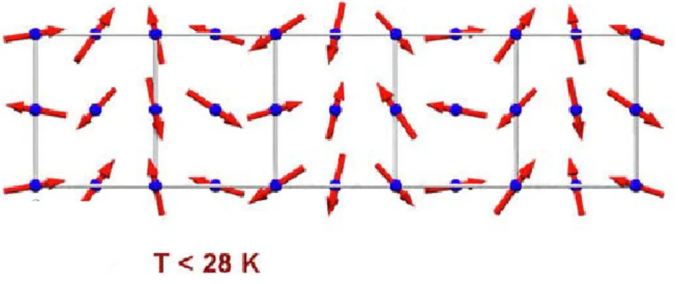 Figure 1.2 : Exemple d’ordre magnétique dans un matériau multiferroïque de type TbMnO 3 