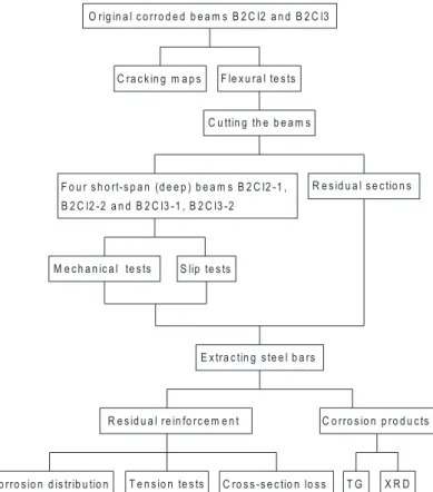 Figure 1-1 Configuration of all the experiments about the corroded beams 