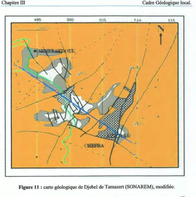 Figur e 11  : carte géologique de Djebel de Tamazert (SONAREM), modifiée.  :oil\\  F  onnJriom  il  gneissiques  Formations  Shisteuses 