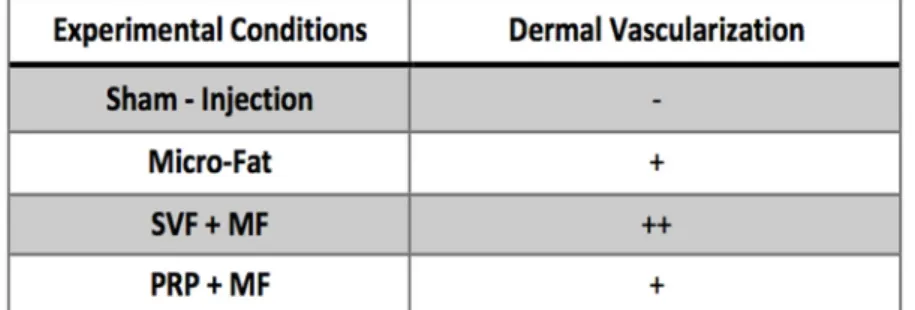 Fig. 6 – Skin vascularisation after treatment by sham-injection (Ringer's lactate), MF, MF+PRP and MF+the SVF